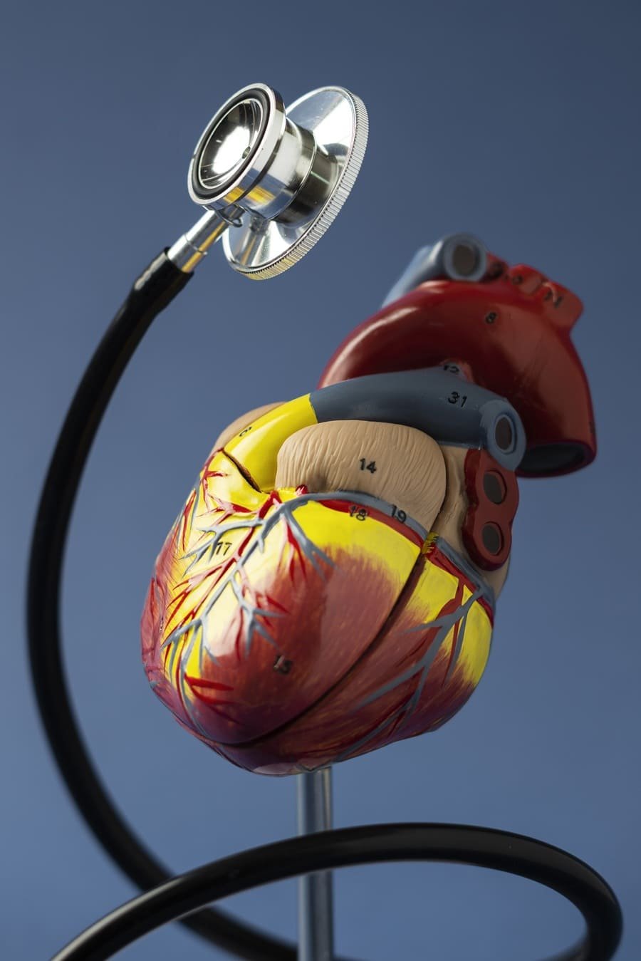 Precio de consulta con cardiólogo intervencionista en Monterrey, Nuevo León